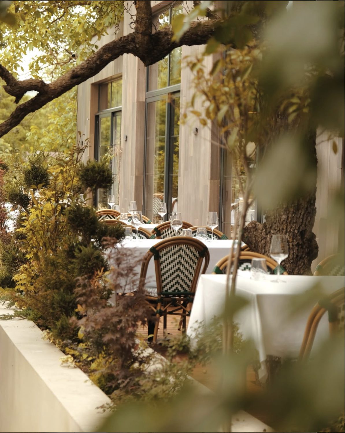 GAIA Restaurant dining room